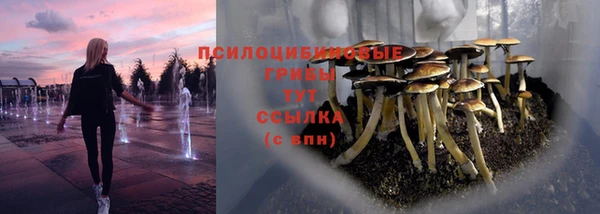 MESCALINE Медвежьегорск