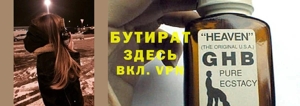 индика Михайловск