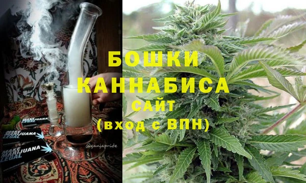 индика Михайловка