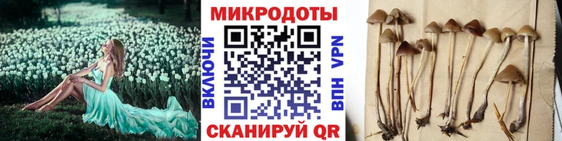 Галлюциногенные грибы прущие грибы Купить где Апшеронск